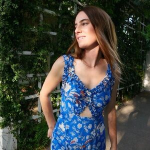 DOEN 100% SILK AMORETTA DRESS AZURE HOLLYHOCK HILLS FLORALS NWT